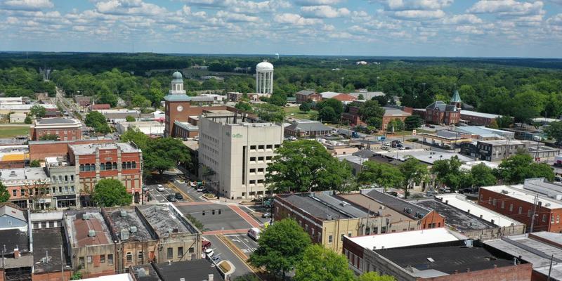 Purpose and Governance of the Griffin DDA
